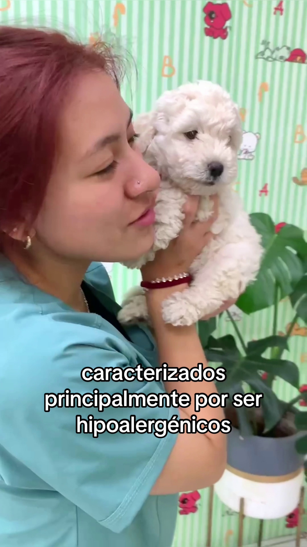 #crianzaresponsable #amor #cachorrofeliz