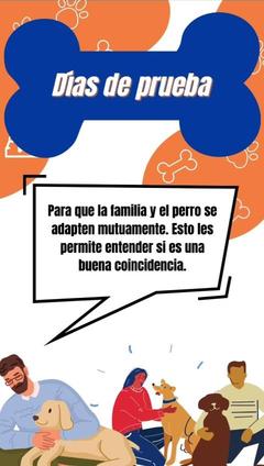 #perritos #rescateanimal #adopt